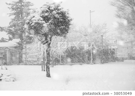 Musashi Fuchu Kumano Shrine Kofun Snow scene Musashi Fuchu Kumano Shrine Kofun Snow scene 38053049