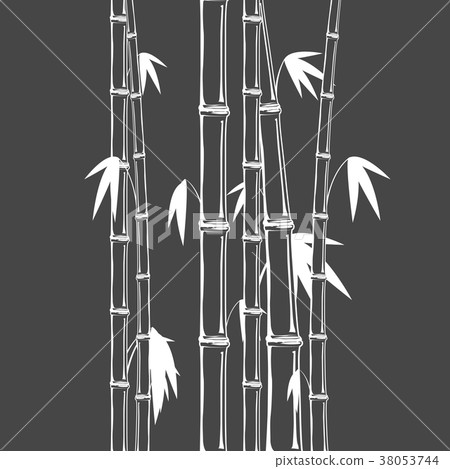 Stems of bamboo in sketch style on dark background Stems of bamboo in sketch style on dark background 38053744