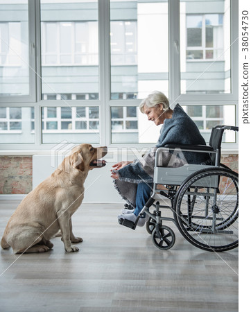 Glad ill old female spending time with dog Glad ill old female spending time with dog 38054730