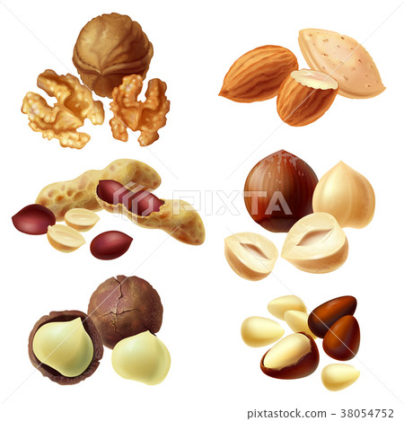Vector 3d realistic set of various nuts 38054752