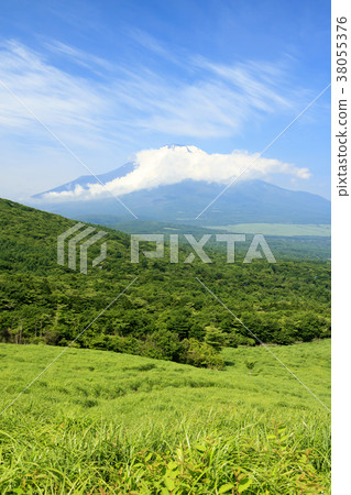 風景秀麗(山梨,富士山,新鮮綠) 風景秀麗(山梨,富士山,新鮮綠) 38055376