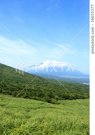 風景秀麗(山梨,富士山,新鮮綠) 風景秀麗(山梨,富士山,新鮮綠) 38055377