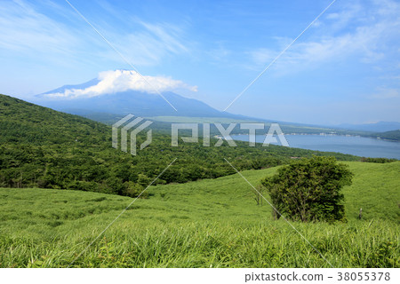風景秀麗（山梨，富士山，新鮮綠） 38055378