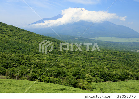 風景秀麗（山梨，富士山，新鮮綠） 38055379