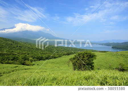 風景秀麗(山梨,富士山,新鮮綠) 風景秀麗(山梨,富士山,新鮮綠) 38055380