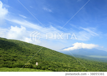 風景秀麗(山梨,富士山,新鮮綠) 風景秀麗(山梨,富士山,新鮮綠) 38055381