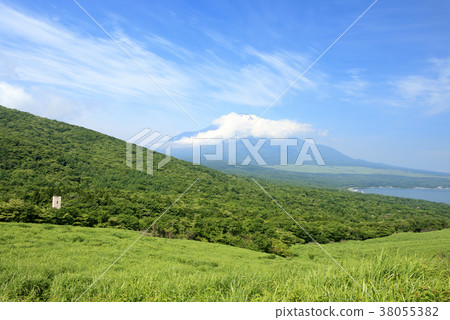 風景秀麗(山梨,富士山,新鮮綠) 風景秀麗(山梨,富士山,新鮮綠) 38055382