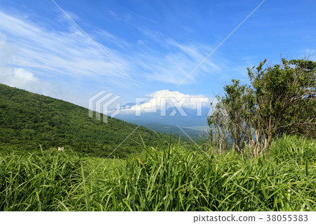 風景秀麗（山梨，富士山，新鮮綠） 38055383