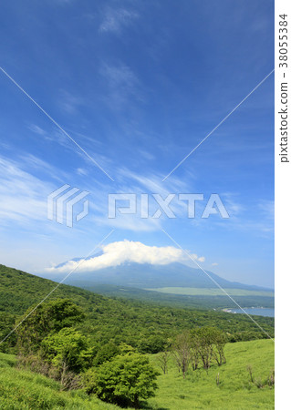 風景秀麗(山梨,富士山,新鮮綠) 風景秀麗(山梨,富士山,新鮮綠) 38055384