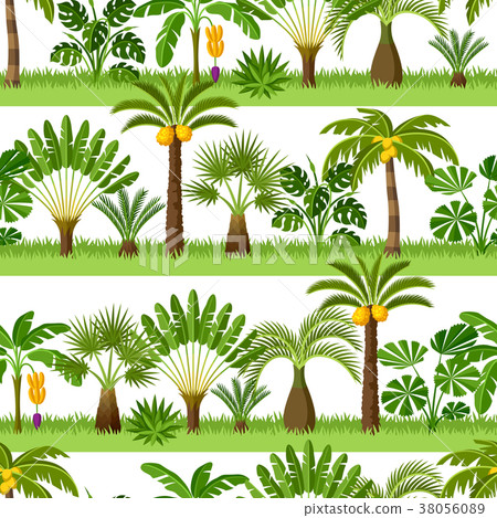 Seamless pattern with tropical palm trees. Exotic 38056089