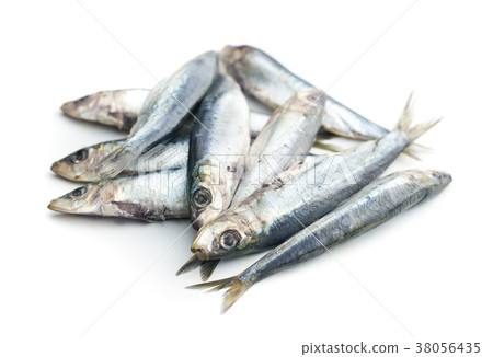 Raw sardines fish. Raw sardines fish. 38056435