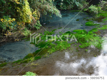 Shishigawa floodplain group-27102 38056751