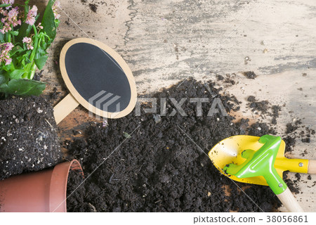 Repotting plants tools and a blank banner Repotting plants tools and a blank banner 38056861