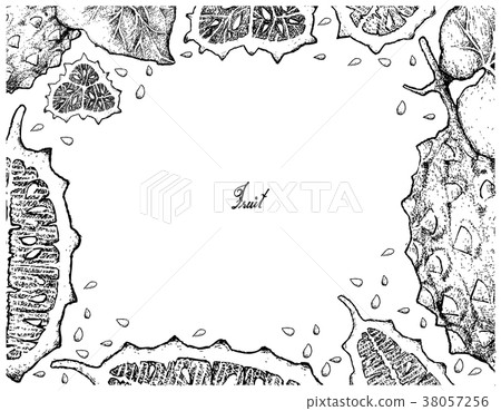 Hand Drawn Frame of Horned Melon or Kiwano Hand Drawn Frame of Horned Melon or Kiwano 38057256