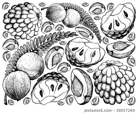Indian Gooseberry and Custard Apple Background 38057269