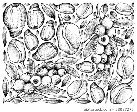 Hand Drawn Frame of Blueberries and Red Mombin 38057275