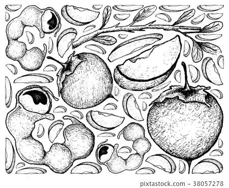 Background Manila Tamarind and Japanese Persimmon 38057278