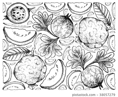 Background of Guava and Indian Gooseberry 38057279