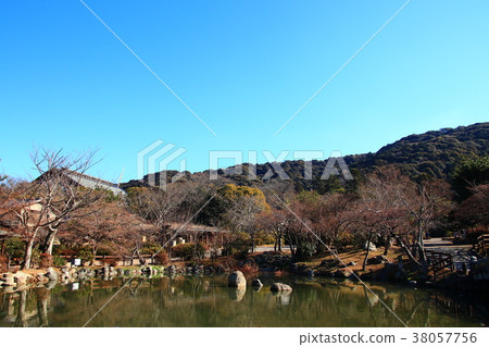 Maruyama Park Kyoto Maruyama Park Kyoto 38057756