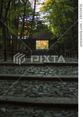 秋天的文京 38058456