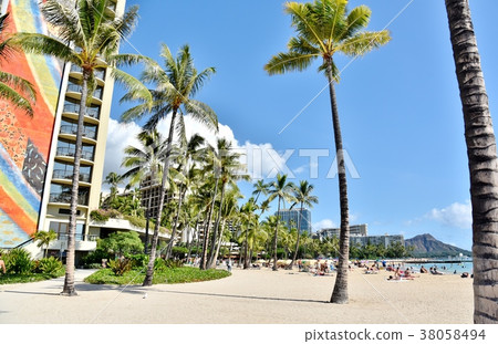 Holidays in Hawaii 38058494
