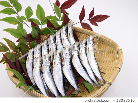 沙丁魚乾 沙丁魚乾 38058516