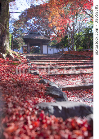 Autumn Anzura Temple 38058595