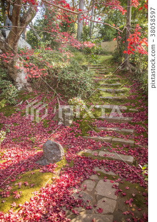 Autumn leaves of the Ebi Autumn leaves of the Ebi 38058597