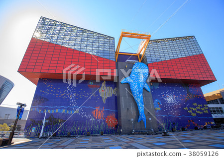 海遊館 海遊館 38059126