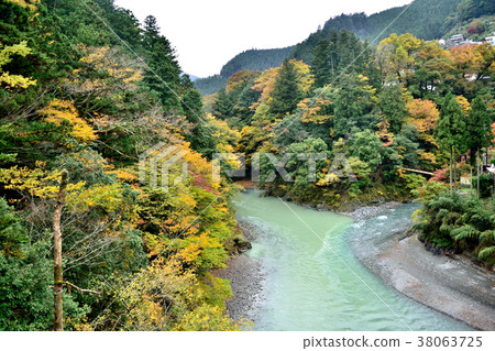 秋天的奧多摩多摩河和平原河 秋天的奧多摩多摩河和平原河 38063725