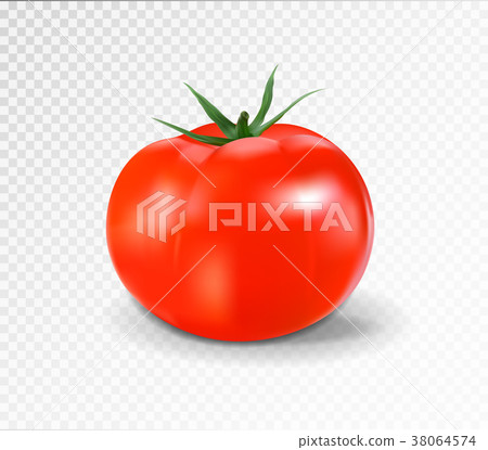 Red tomato. Realistic vector illustration 38064574