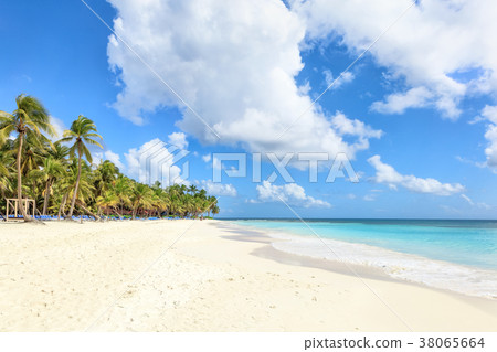 Vacation in Dominican Republic 38065664