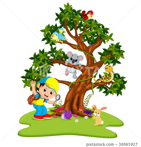 Many animals on the trees with boys Many animals on the trees with boys 38065927