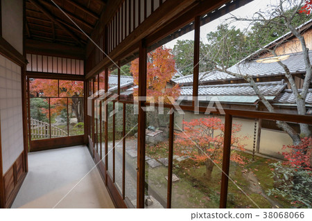 the Shinsho gokuraku ji garden at fall 38068066