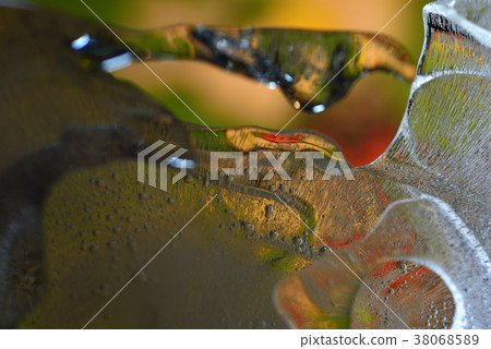 水,結冰,冰,零下,溫度,水珠,冰凍,乾淨的水,花,創意,藝 水,結冰,冰,零下,溫度,水珠,冰凍,乾淨的水,花,創意,藝 38068589