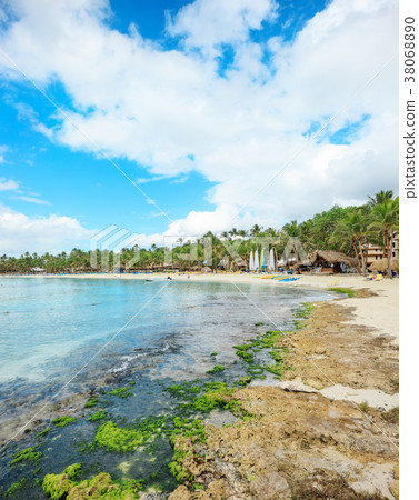Vacation in Dominican Republic 38068890