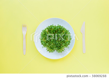 plate with fresh organic sprout micro greens plate with fresh organic sprout micro greens 38069288