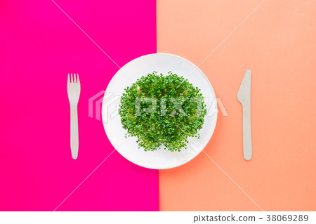 plate with fresh organic sprout micro greens plate with fresh organic sprout micro greens 38069289