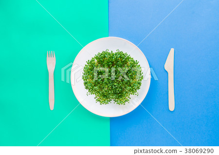 plate with fresh organic sprout micro greens  38069290