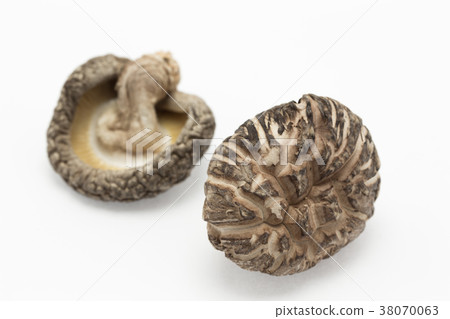 Dick shiitake mushroom Dick shiitake mushroom 38070063