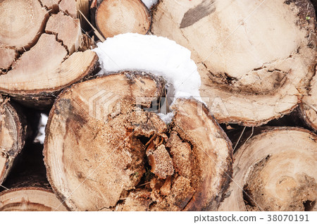 Rotten tree logs stacked under the snow Rotten tree logs stacked under the snow 38070191