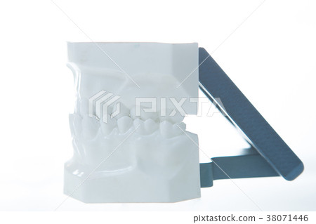Dental model 38071446