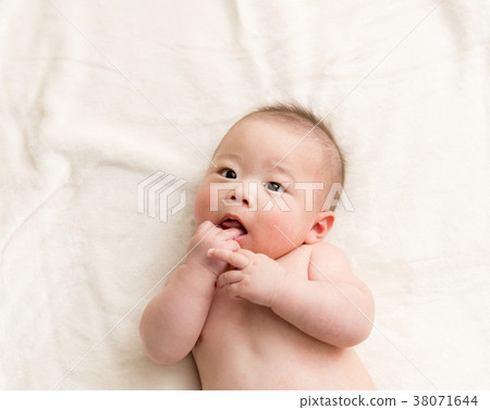 baby   38071644