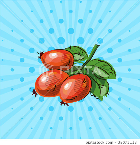 Sprig with wild rose berries on a blue background 38073118
