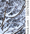 First snow of the hometown 38074308