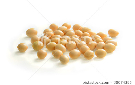 soybeans isolate on white background soybeans isolate on white background 38074395