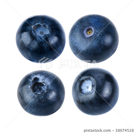 Blueberry collection isolated on white background Blueberry collection isolated on white background 38074528