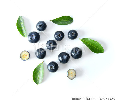 Blueberry collection isolated on white background Blueberry collection isolated on white background 38074529