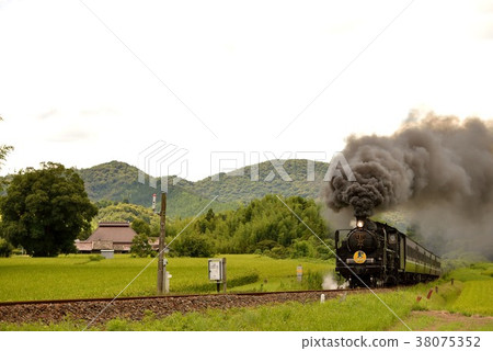 C571 SL Yamaguchi C571 SL Yamaguchi 38075352