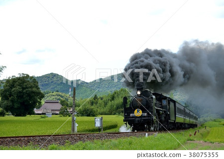 C571 SL Yamaguchi 38075355